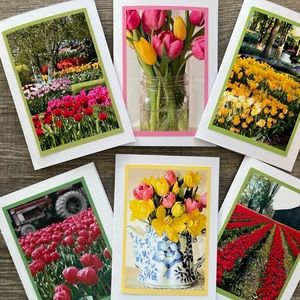 Six Beautiful 5x7 Blank Tulip Photo greeting cards